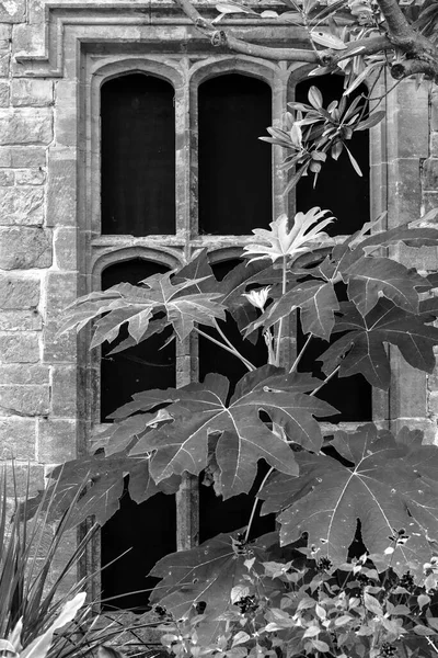 Hermosa Imagen Detalle Arquitectónico Del Paisaje Del Antiguo Edificio Medieval —  Fotos de Stock