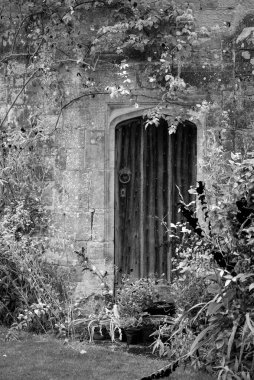 Eski tarihi ortaçağ binasının güzel mimari tasviri İngiliz kır bahçesinde duvarlar ve pencereler üzerinde büyüyen bitkilerle birlikte doğa tarafından geri kazanıldı.