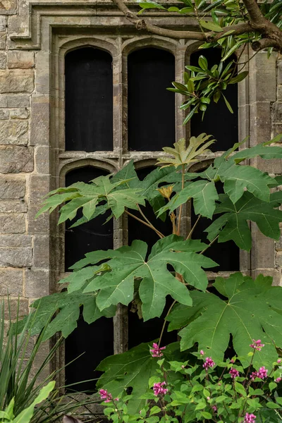 Prachtig Landschap Architectonisch Detail Beeld Van Oude Historische Middeleeuwse Gebouw — Stockfoto