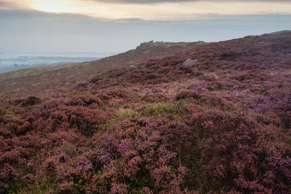 Oszałamiający Angielski Peak District Krajobraz Kolorowego Wrzosu Pod Koniec Letniego — Zdjęcie stockowe