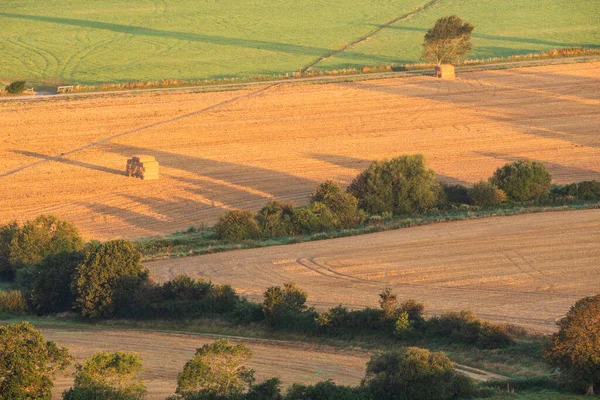 Splendida Alba Fine Estate Sul South Downs National Park Nella — Foto Stock