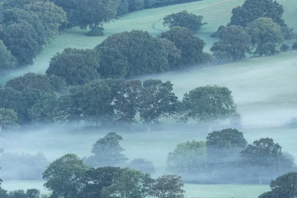 Beautiful Late Summer Sunrise Foggy Layers South Downs National Park — Stock Photo, Image