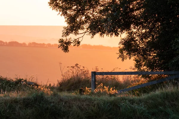 Ohromující Pozdní Letní Východ Slunce Národním Parku South Downs Anglické — Stock fotografie