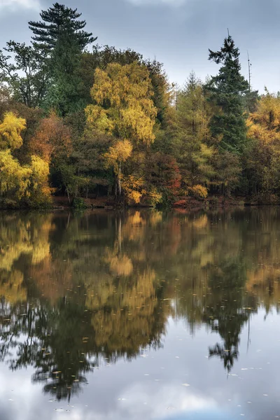 Gyönyörű élénk őszi erdei reflecions, a nyugodt tó vize — Stock Fotó