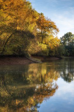 erdei tó lenyűgöző élénk őszi táj