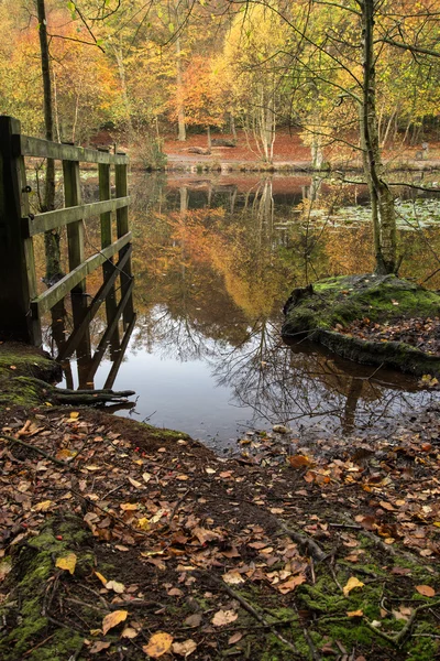 Belos vibrantes reflexos bosques Outono em águas calmas lago — Fotografia de Stock