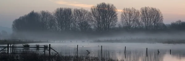 Пейзаж озера в тумане с лучами солнца на восходе — стоковое фото