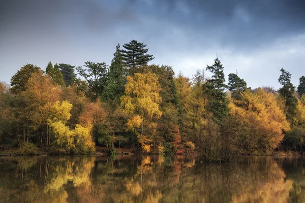 Krásné zářivé podzimní lesní reflecions v klidné jezero vodách — Stock fotografie