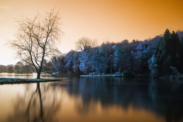 Paisagem de lago de cor falsa com relfecção calma — Fotografia de Stock