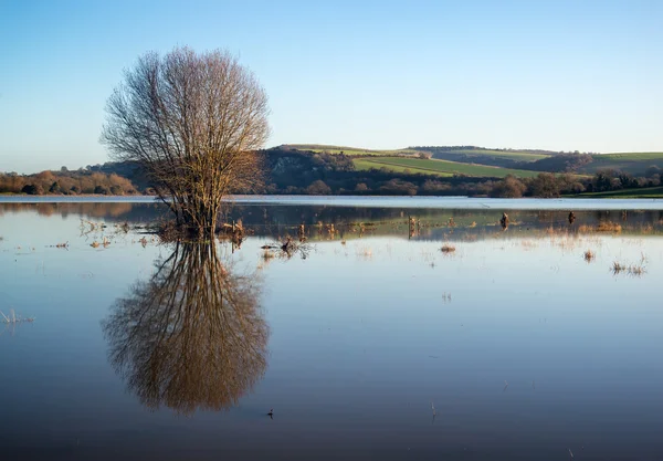 Mirror reflections of landscape in flood plains in Winter — Stock Photo, Image