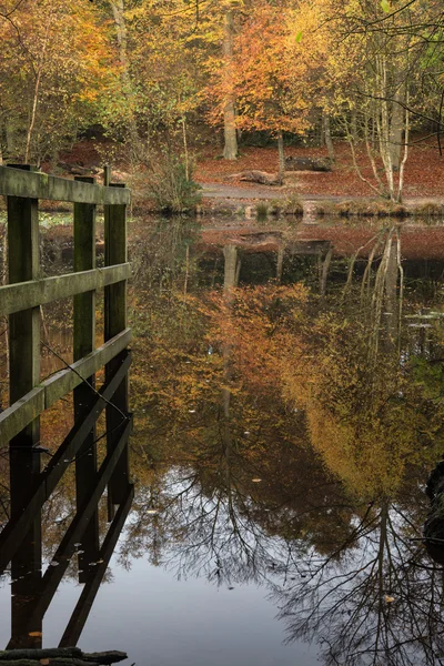 Belles réflexions vibrantes de forêt d'automne dans les eaux calmes du lac — Photo