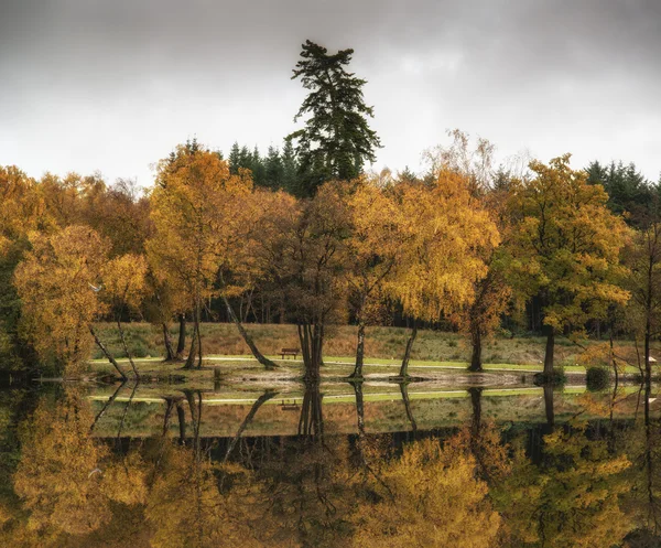 Beautiful vibrant Autumn woodland reflecions in calm lake waters — Stock Photo, Image