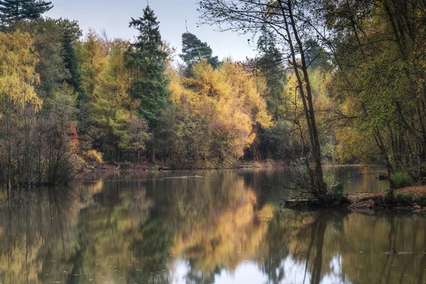 Belos vibrantes reflexos bosques Outono em águas calmas lago — Fotografia de Stock