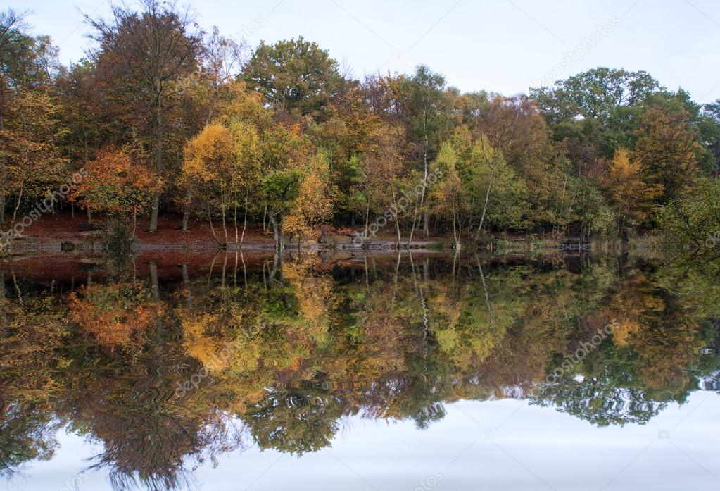 Beautiful vibrant Autumn woodland reflecions in calm lake waters