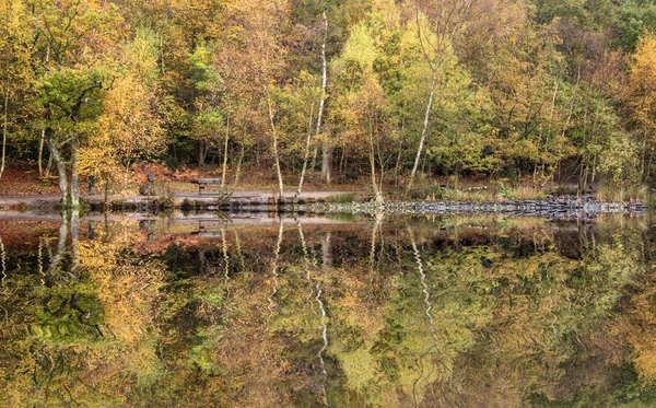 Hermosas vibrantes refleciones de bosque de otoño en aguas tranquilas del lago — Foto de Stock