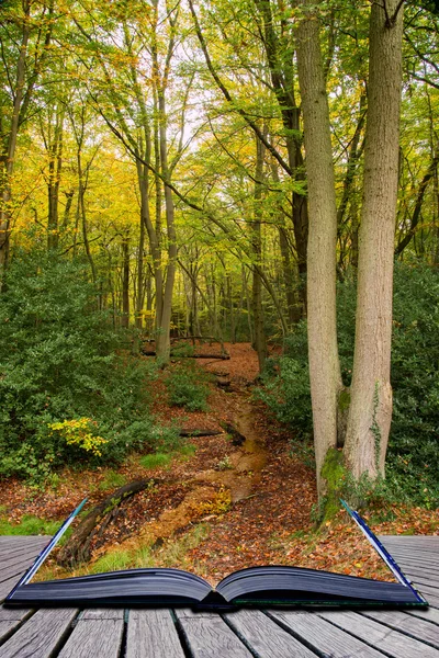 Concepto de libro Hermoso y vibrante otoño Colores de otoño en tierras forestales — Foto de Stock