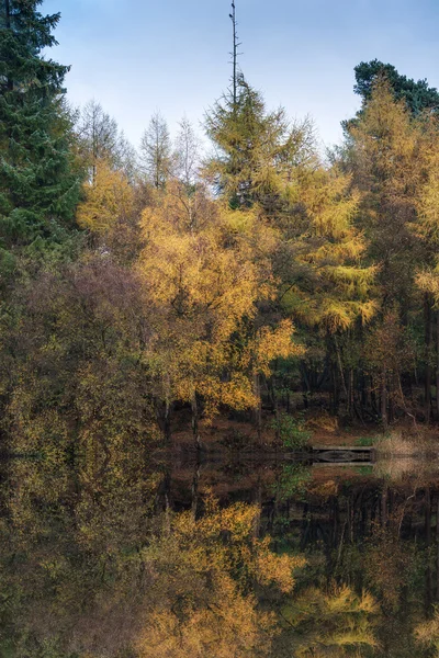 Belles réflexions vibrantes de forêt d'automne dans les eaux calmes du lac — Photo