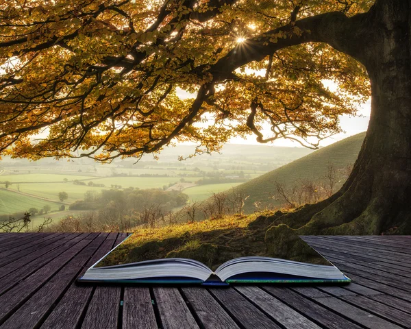 Książki koncepcji pięknej jesieni światło słoneczne światła krajobraz t — Zdjęcie stockowe