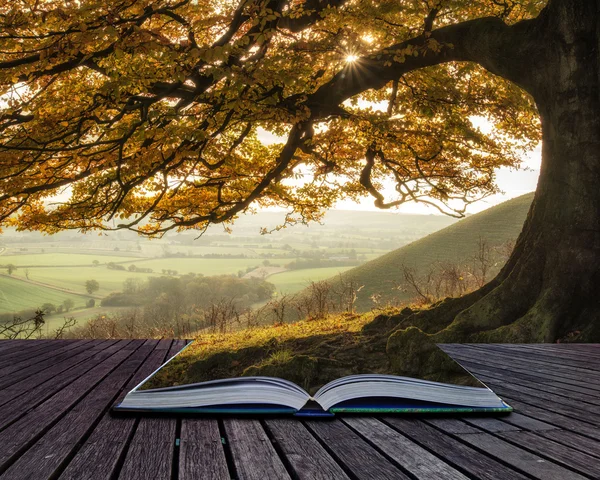 Concetto di libro Splendido autunno mattina sole luci paesaggio t — Foto Stock