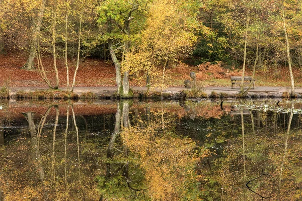 Splendidi riflessi boschivi autunnali in acque calme del lago — Foto Stock