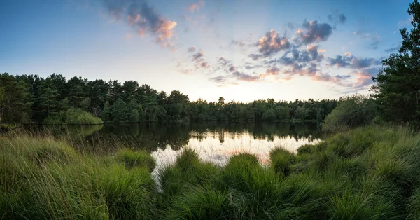 Letní panorama při západu slunce krajina odráží v klidné jezero — Stock fotografie