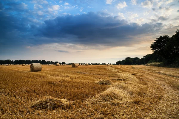 Rural landscape image of Summer sunset over field of hay bales — Stock Photo, Image
