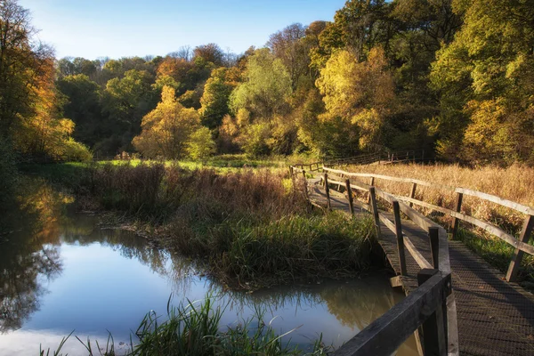 Stunning vibrant Autumn landscape of footbridge over lake in for — Stock Photo, Image