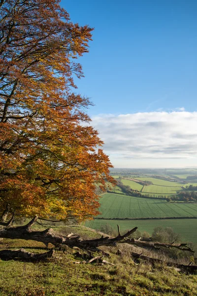 Stunning Autumn morning view over countryside landscape — Stock Photo, Image