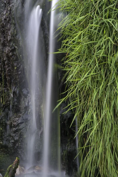 Детальное изображение ландшафта водопада, протекающего над травяными породами — стоковое фото