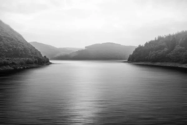 Black and white landscape of foggy lake surrounded by trees — Stock Photo, Image