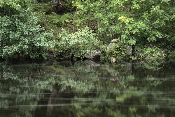 Paisaje larga exposición del río que fluye a través de frondoso verde — Foto de Stock
