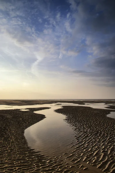 Belo e vibrante pôr do sol de verão sobre a paisagem dourada da praia — Fotografia de Stock