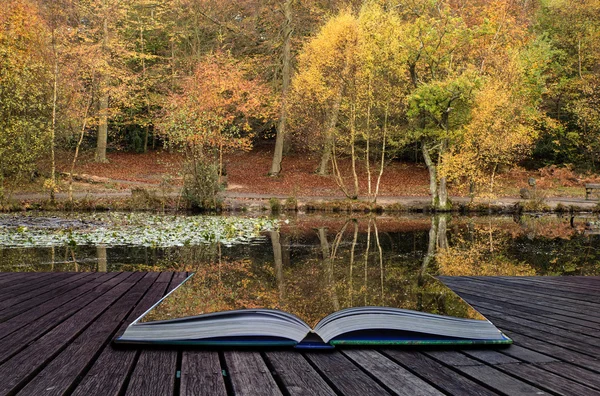 Piękne żywe jesień reflecions leśnych wodach jeziora spokój — Zdjęcie stockowe
