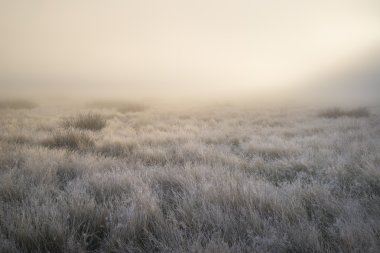 Çarpıcı güneş ışını kalın sis sonbahar sonbaharın siste yanar