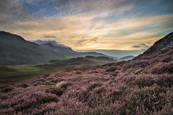 Impresionante paisaje de montaña amanecer con colores vibrantes y beau — Foto de Stock