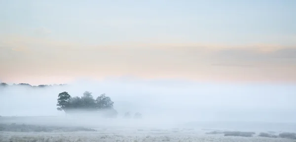 Beautiful thick fog sunrise Autumn Fall countryside landscape wi — Stock Photo, Image