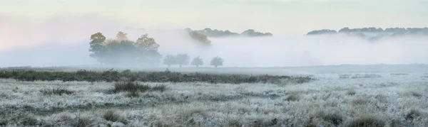 Panorama paisaje de niebla Otoño Otoño Salida del sol sobre fiel helada — Foto de Stock