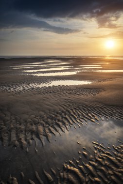 güzel canlı yaz sunset golden beach peyzaj içinde