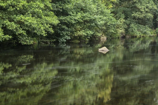 Táj hosszú expozíció a folyó átfolyik a buja zöld előtérbe — Stock Fotó