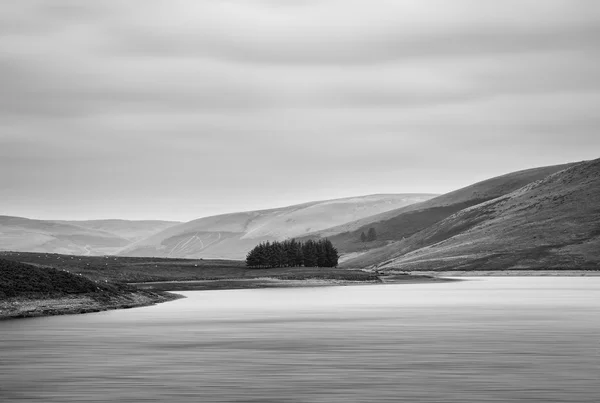 Paisaje blanco y negro de lago con árboles en isla —  Fotos de Stock