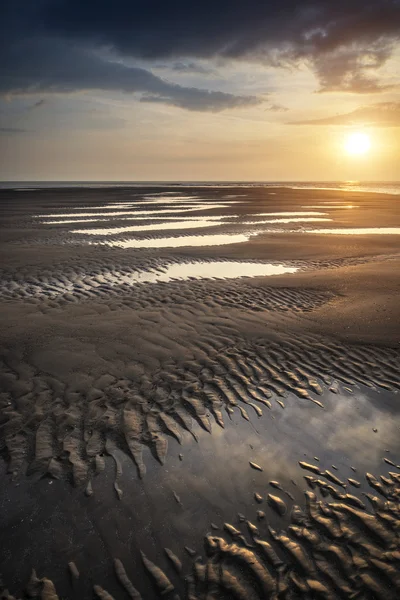 Летний закат над золотым пляжным пейзажем — стоковое фото