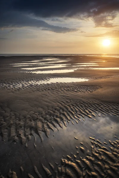 Beautiful vibrant Summer sunset over golden beach landscape — Stock Photo, Image