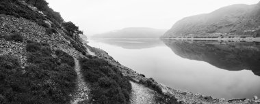 Manzara resim tek renkli sonbahar sonbaharda sisli göl üzerine