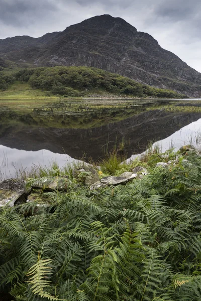 Paisaje de la imagen de la montaña reflejada en el lago todavía en verano mo — Foto de Stock