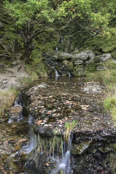 Vattenfall lång exponering liggande bild på sommaren i skogen sett — Stockfoto