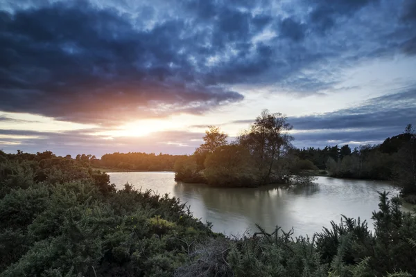 Güzel sonbahar gün batımı göl manzara orman üzerinde — Stok fotoğraf