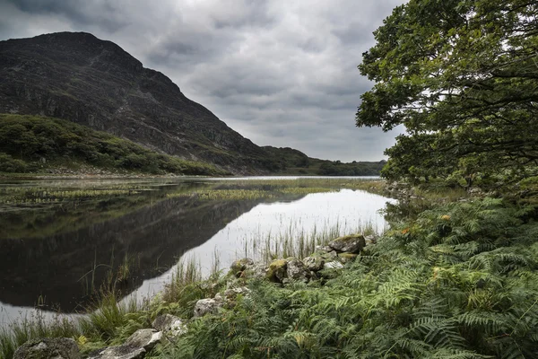 Landscape image of mountain reflected in still lake on Summer mo — Stock Photo, Image