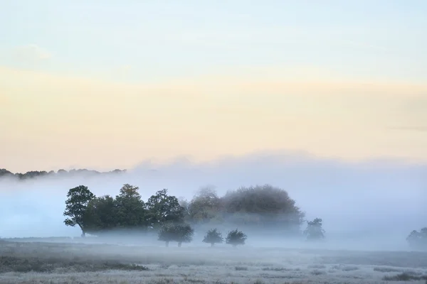 Hermosa niebla gruesa amanecer otoño otoño paisaje rural wi — Foto de Stock