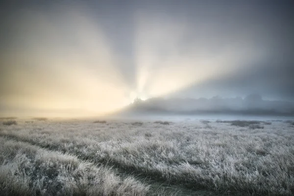 Prachtige zon balken oplichten mist door dikke mist van Autumn Fall — Stockfoto