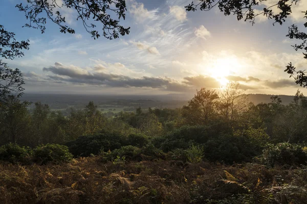 Vackra höst höst solnedgång över skogslandskap med lynnig dr — Stockfoto